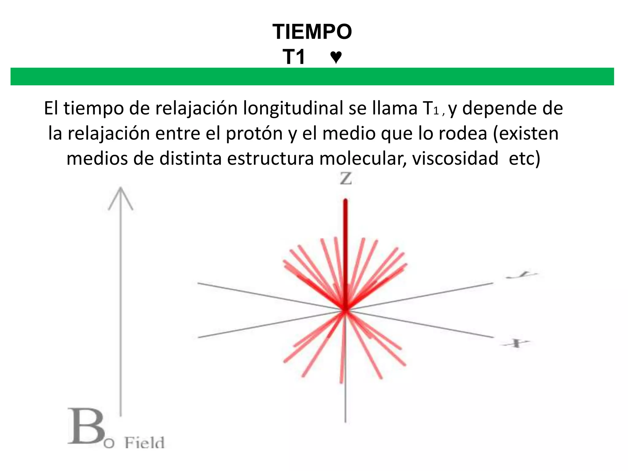 TIEMPO
T1 ♥
El tiempo de relajación longitudinal se llama T1 , y depende de
la relajación entre el protón y el medio que lo rodea (existen
medios de distinta estructura molecular, viscosidad etc)
 