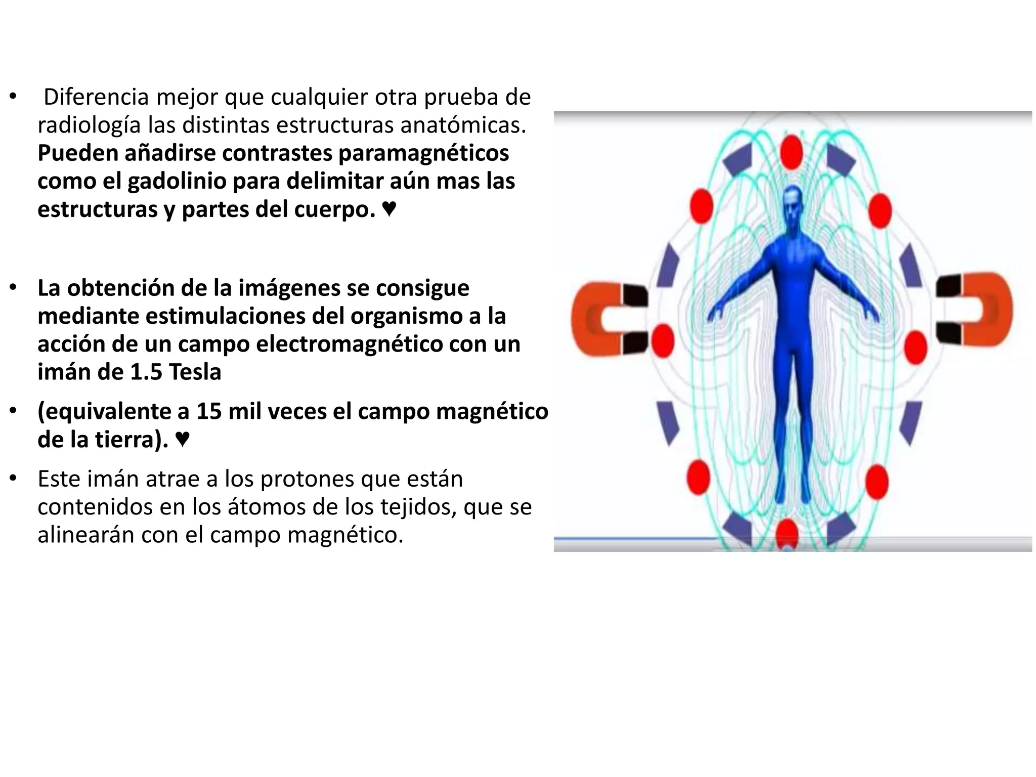 • Diferencia mejor que cualquier otra prueba de
radiología las distintas estructuras anatómicas.
Pueden añadirse contrastes paramagnéticos
como el gadolinio para delimitar aún mas las
estructuras y partes del cuerpo. ♥
• La obtención de la imágenes se consigue
mediante estimulaciones del organismo a la
acción de un campo electromagnético con un
imán de 1.5 Tesla
• (equivalente a 15 mil veces el campo magnético
de la tierra). ♥
• Este imán atrae a los protones que están
contenidos en los átomos de los tejidos, que se
alinearán con el campo magnético.
 
