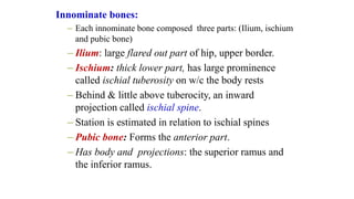 2.1 Female pelvis.pptx