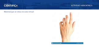 Material que se ubica en aula virtual
ACTIVIDAD ASINCRÓNICA
 