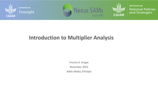 Introduction to Multiplier Analysis
Emerta A. Aragie
November 2023
Addis Ababa, Ethiopia
 