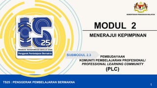 TS25 : PENGGERAK PEMBELAJARAN BERMAKNA
MODUL 2
MENERAJUI KEPIMPINAN
SUBMODUL 2.3 PEMBUDAYAAN
KOMUNITI PEMBELAJARAN PROFESIONAL/
PROFESSIONAL LEARNING COMMUNITY
(PLC)
1
 