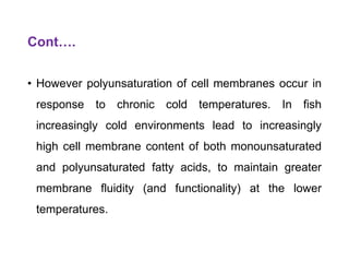 Cont….
• However polyunsaturation of cell membranes occur in
response to chronic cold temperatures. In fish
increasingly cold environments lead to increasingly
high cell membrane content of both monounsaturated
and polyunsaturated fatty acids, to maintain greater
membrane fluidity (and functionality) at the lower
temperatures.
 
