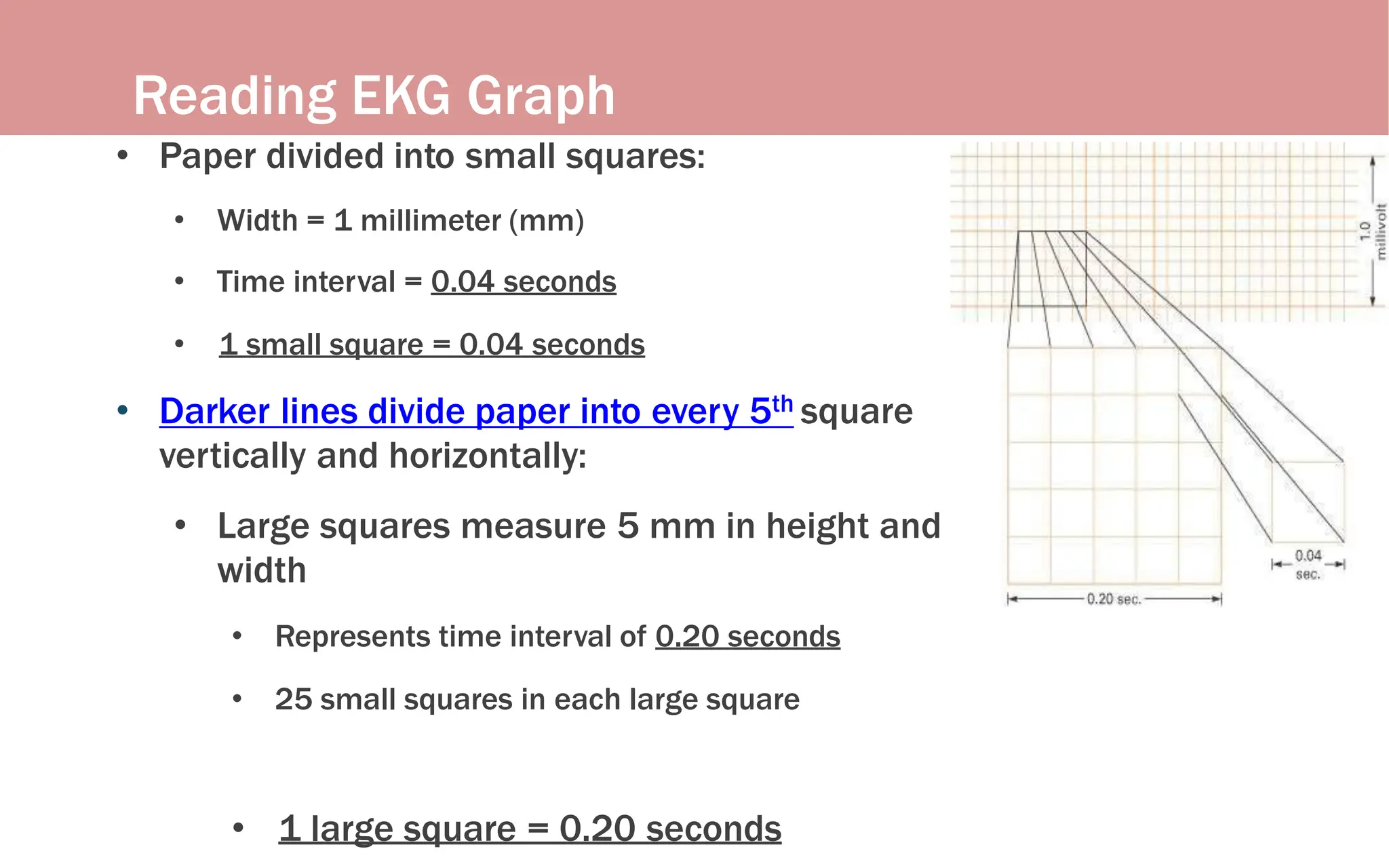 Reading EKG Graph
Paper
• Paper divided into small squares:
• Width = 1 millimeter (mm)
• Time interval = 0.04 seconds
• 1 small square = 0.04 seconds
• Darker lines divide paper into every 5th square
vertically and horizontally:
• Large squares measure 5 mm in height and
width
• Represents time interval of 0.20 seconds
• 25 small squares in each large square
• 1 large square = 0.20 seconds
 