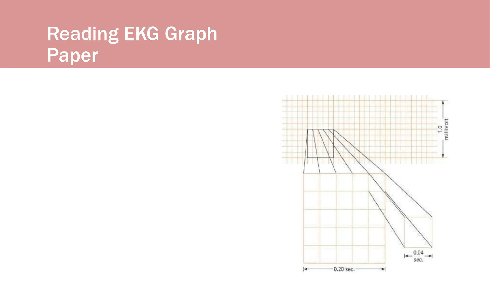 Reading EKG Graph
Paper
 