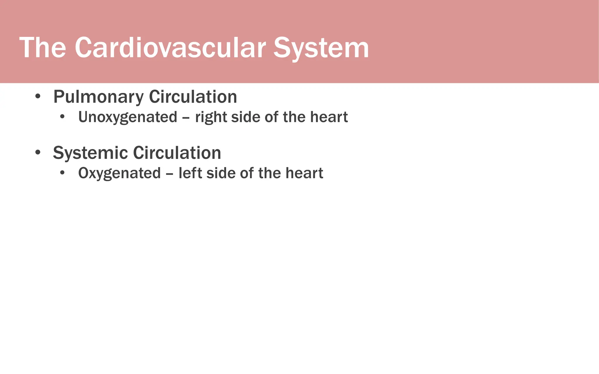 The Cardiovascular System
• Pulmonary Circulation
• Unoxygenated – right side of the heart
• Systemic Circulation
• Oxygenated – left side of the heart
 