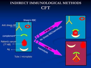 Sheep Rbc 2.laboratory-diagnosis-of-parasitic-infections.ppt