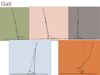 Gait
 