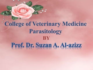 College of Veterinary Medicine
Parasitology
BY
Prof. Dr. Suzan A. Al-azizz
 
