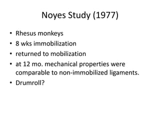 Noyes Study (1977)
• Rhesus monkeys
• 8 wks immobilization
• returned to mobilization
• at 12 mo. mechanical properties were
comparable to non-immobilized ligaments.
• Drumroll?
 