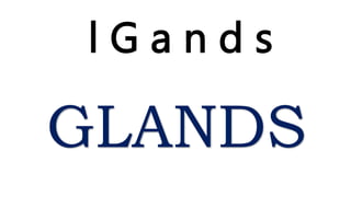l G a n d s
GLANDS
 