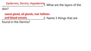 _________________________________1. What are the layers of the
skin?
Epidermis, Dermis, Hypodermis
_________________________________2. Name 3 things that are
found in the Dermis?
sweat gland, oil glands, hair follicles
and blood vessels.
 