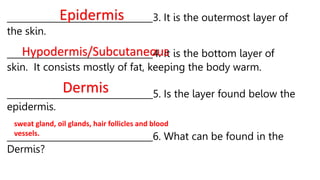 _________________________________3. It is the outermost layer of
the skin.
Epidermis
_________________________________4. It is the bottom layer of
skin. It consists mostly of fat, keeping the body warm.
Hypodermis/Subcutaneous
_________________________________5. Is the layer found below the
epidermis.
Dermis
_________________________________6. What can be found in the
Dermis?
sweat gland, oil glands, hair follicles and blood
vessels.
 