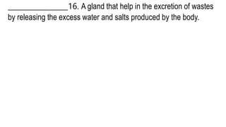 _________________16. A gland that help in the excretion of wastes
by releasing the excess water and salts produced by the body.
 