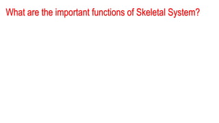 What are the important functions of Skeletal System?
 