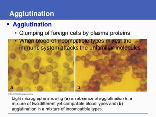 Incompatible Cells Circulatory System BY: EMYLIE LANTORIA.pptx
