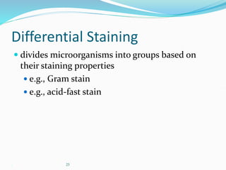 . 25
Differential Staining
 divides microorganisms into groups based on
their staining properties
 e.g., Gram stain
 e.g., acid-fast stain
 