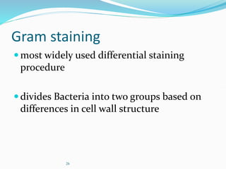 26
Gram staining
most widely used differential staining
procedure
divides Bacteria into two groups based on
differences in cell wall structure
 