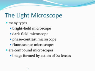 3
The Light Microscope
 many types
 bright-field microscope
 dark-field microscope
 phase-contrast microscope
 fluorescence microscopes
 are compound microscopes
 image formed by action of 2 lenses
 