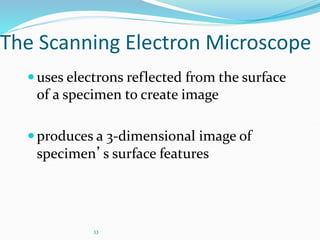 33
The Scanning Electron Microscope
uses electrons reflected from the surface
of a specimen to create image
produces a 3-dimensional image of
specimen’s surface features
 
