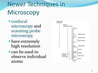 34
Newer Techniques in
Microscopy
confocal
microscopy and
scanning probe
microscopy
have extremely
high resolution
can be used to
observe individual
atoms
 