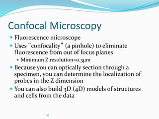 36
Confocal Microscopy
 Fluorescence microscope
 Uses “confocality” (a pinhole) to eliminate
fluorescence from out of focus planes
 Minimum Z resolution=0.3µm
 Because you can optically section through a
specimen, you can determine the localization of
probes in the Z dimension
 You can also build 3D (4D) models of structures
and cells from the data
 