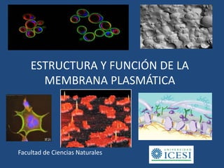 Facultad de Ciencias Naturales
ESTRUCTURA Y FUNCIÓN DE LA
MEMBRANA PLASMÁTICA
 
