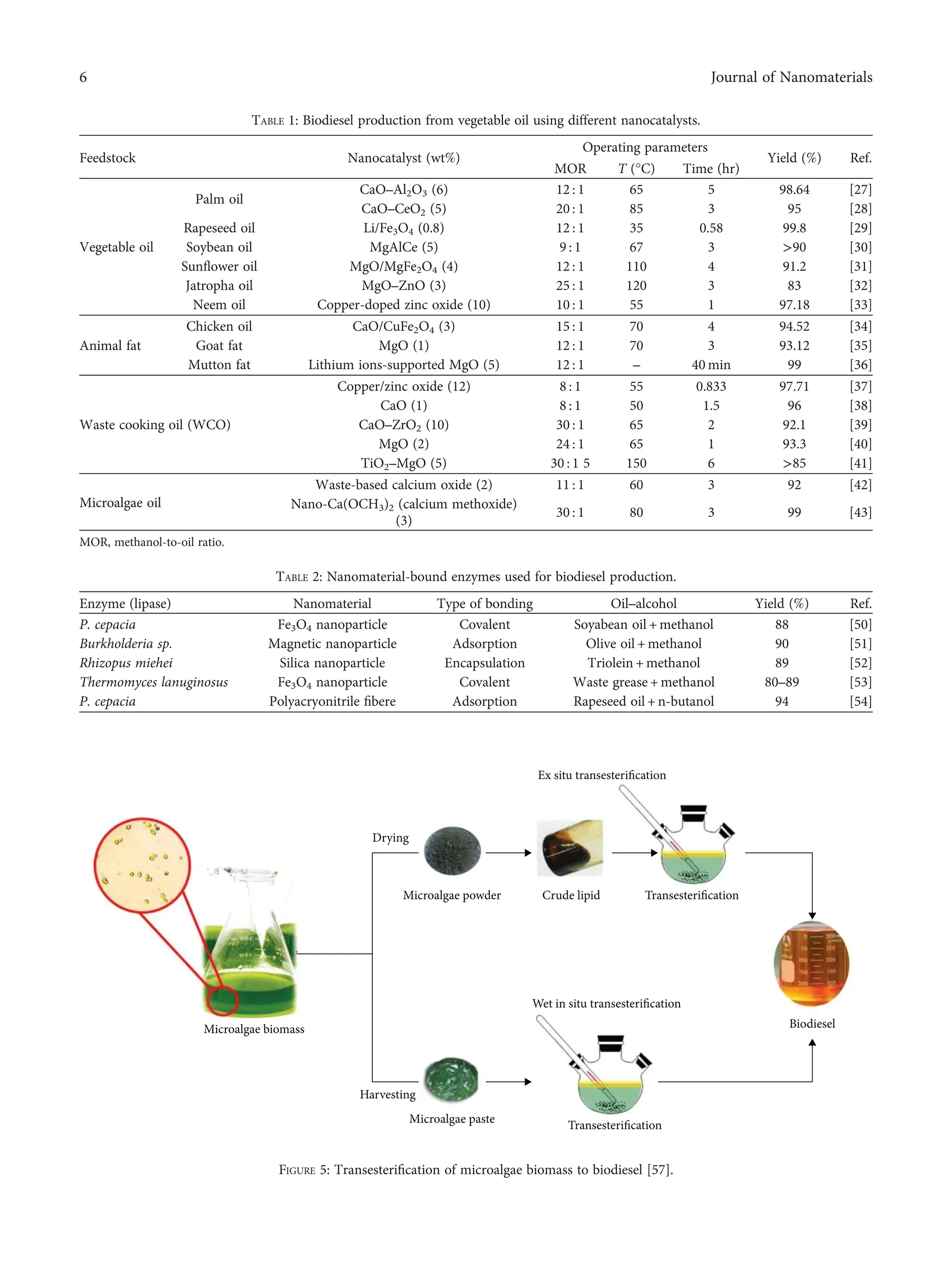 Utilization of Nanotechnology and Nanomaterials in Biodiesel Production ...