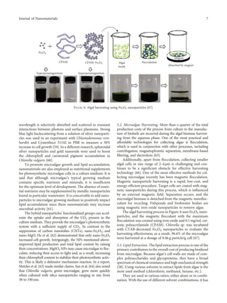 Utilization of Nanotechnology and Nanomaterials in Biodiesel Production ...