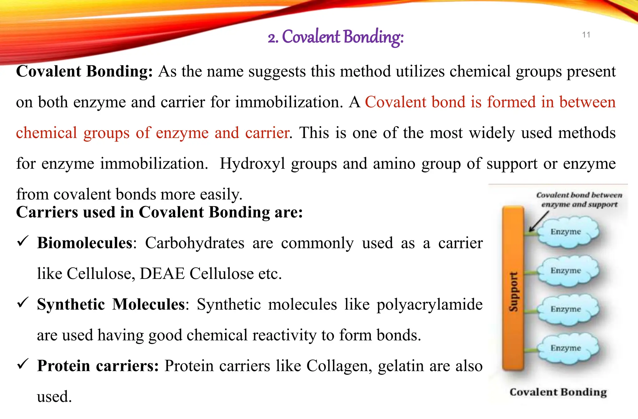 Carriers used in Covalent Bonding are:
 Biomolecules: Carbohydrates are commonly used as a carrier
like Cellulose, DEAE Cellulose etc.
 Synthetic Molecules: Synthetic molecules like polyacrylamide
are used having good chemical reactivity to form bonds.
 Protein carriers: Protein carriers like Collagen, gelatin are also
used.
2. CovalentBonding:
Covalent Bonding: As the name suggests this method utilizes chemical groups present
on both enzyme and carrier for immobilization. A Covalent bond is formed in between
chemical groups of enzyme and carrier. This is one of the most widely used methods
for enzyme immobilization. Hydroxyl groups and amino group of support or enzyme
from covalent bonds more easily.
11
 