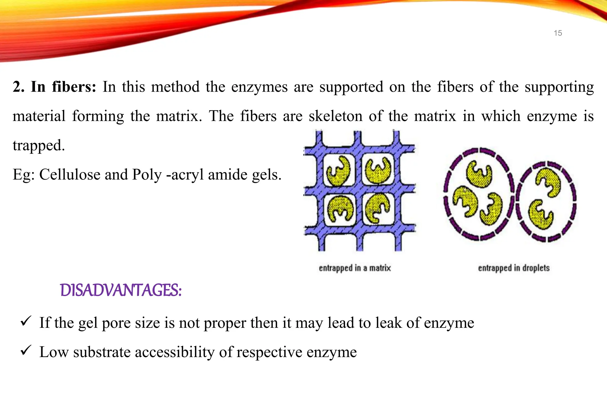 2. In fibers: In this method the enzymes are supported on the fibers of the supporting
material forming the matrix. The fibers are skeleton of the matrix in which enzyme is
trapped.
Eg: Cellulose and Poly -acryl amide gels.
 If the gel pore size is not proper then it may lead to leak of enzyme
 Low substrate accessibility of respective enzyme
DISADVANTAGES:
15
 