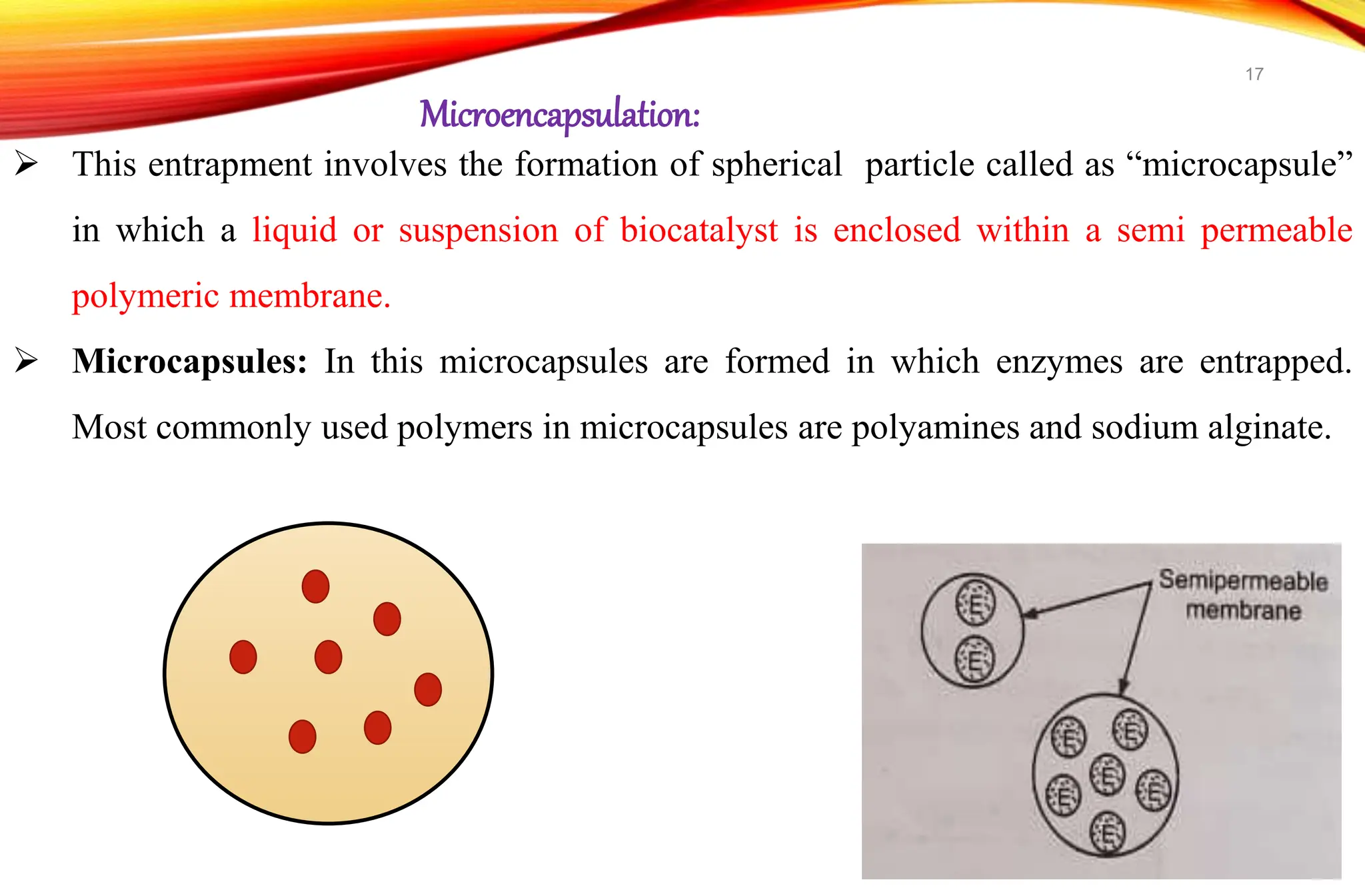  This entrapment involves the formation of spherical particle called as “microcapsule”
in which a liquid or suspension of biocatalyst is enclosed within a semi permeable
polymeric membrane.
 Microcapsules: In this microcapsules are formed in which enzymes are entrapped.
Most commonly used polymers in microcapsules are polyamines and sodium alginate.
Microencapsulation:
17
 