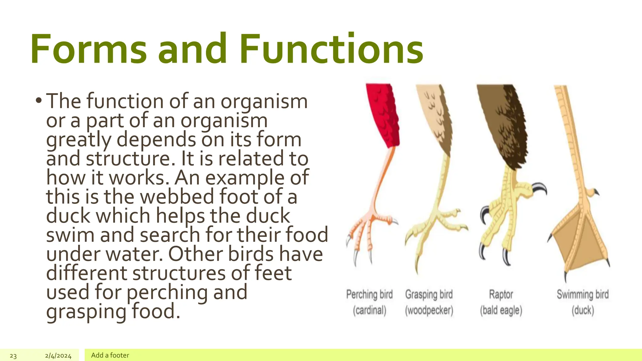 2. The Connections and Interactions Among Living Things.pptx