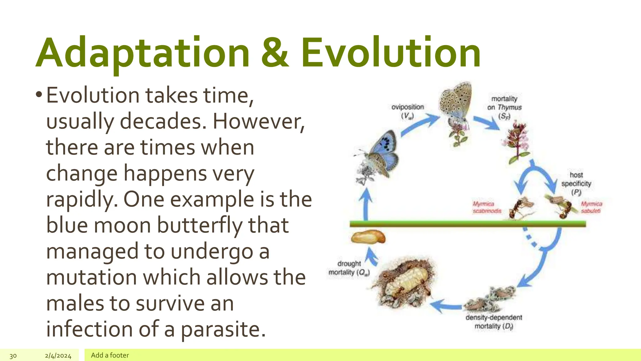 2. The Connections and Interactions Among Living Things.pptx