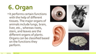 2. The Connections and Interactions Among Living Things.pptx