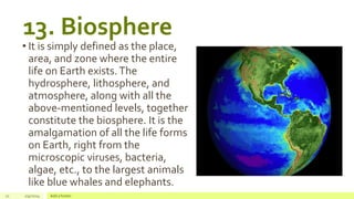 2. The Connections and Interactions Among Living Things.pptx