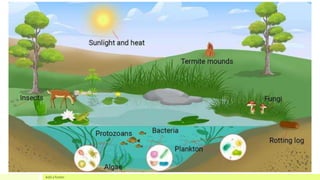 2. The Connections and Interactions Among Living Things.pptx