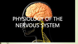 PHYSIOLOGY OF THE
NERVOUS SYSTEM
 