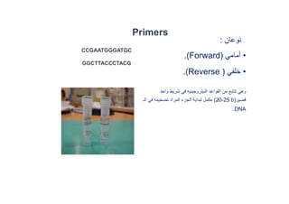 Primers
CCGAATGGGATGC
GGCTTACCCTACG
‫نوعان‬
:
•
‫أمامي‬
)
Forward
.(
•
‫ﺧﻠﻔي‬
)
Reverse
.(
‫وهي‬
‫ﺗﺗاﺑﻊ‬
‫واحد‬ ‫شريط‬ ‫في‬ ‫النيﺗروجينيه‬ ‫القواعد‬ ‫من‬
‫قصير‬
)
20-25 b
(
‫في‬ ‫ﺗضﺧيمه‬ ‫المراد‬ ‫الجزء‬ ‫لﺑداية‬ ‫مكمل‬
‫ا‬
‫ل‬
‫ـ‬
DNA
.
 