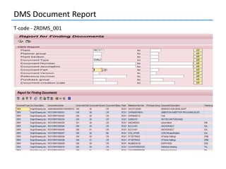 2.4 DMS SAP PM.pptx