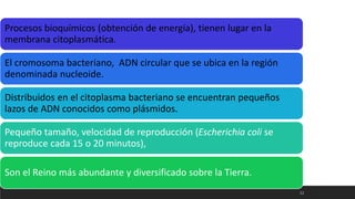 Procesos bioquímicos (obtención de energía), tienen lugar en la
membrana citoplasmática.
El cromosoma bacteriano, ADN circular que se ubica en la región
denominada nucleoide.
Distribuidos en el citoplasma bacteriano se encuentran pequeños
lazos de ADN conocidos como plásmidos.
Pequeño tamaño, velocidad de reproducción (Escherichia coli se
reproduce cada 15 o 20 minutos),
Son el Reino más abundante y diversificado sobre la Tierra.
32
 