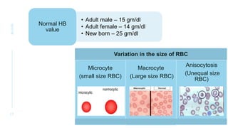 2. .BLOOD anatomy and physiology lymphatic y | PPTX