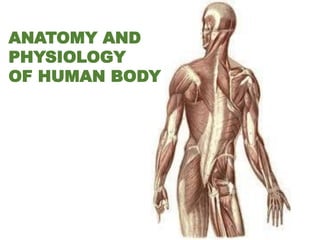 ANATOMY AND
PHYSIOLOGY
OF HUMAN BODY
 