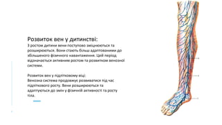 Vena in medicine anatomy physical and physical | PPT