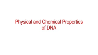 Physical and Chemical Properties
of DNA
 
