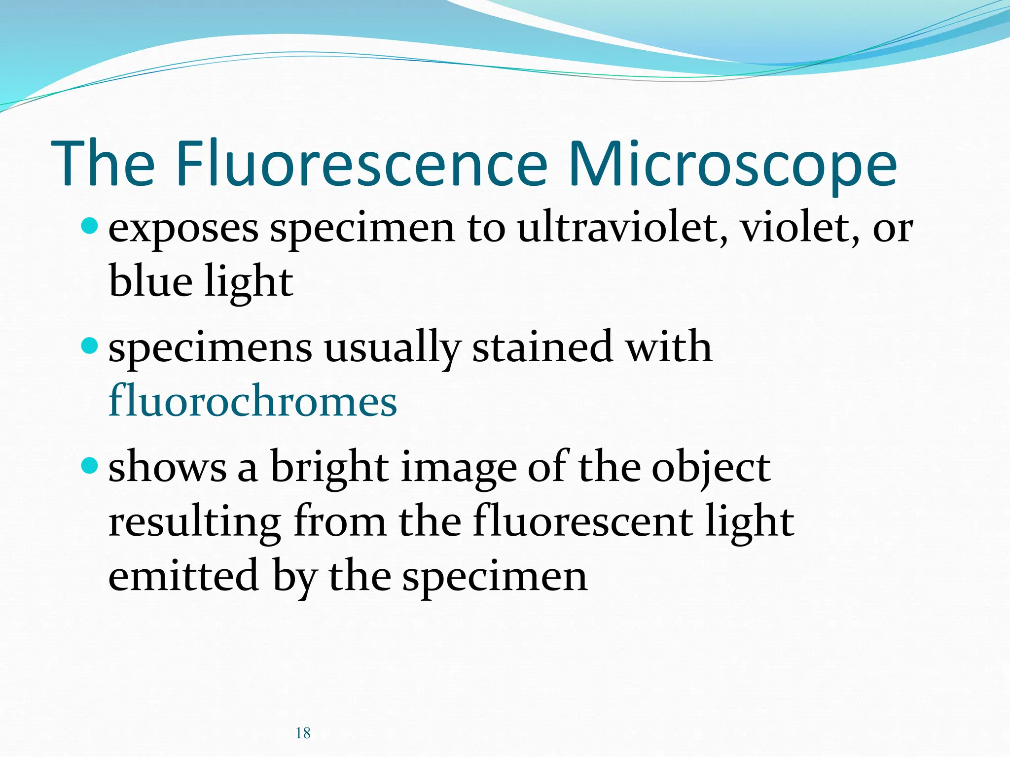 18
The Fluorescence Microscope
exposes specimen to ultraviolet, violet, or
blue light
specimens usually stained with
fluorochromes
shows a bright image of the object
resulting from the fluorescent light
emitted by the specimen
 