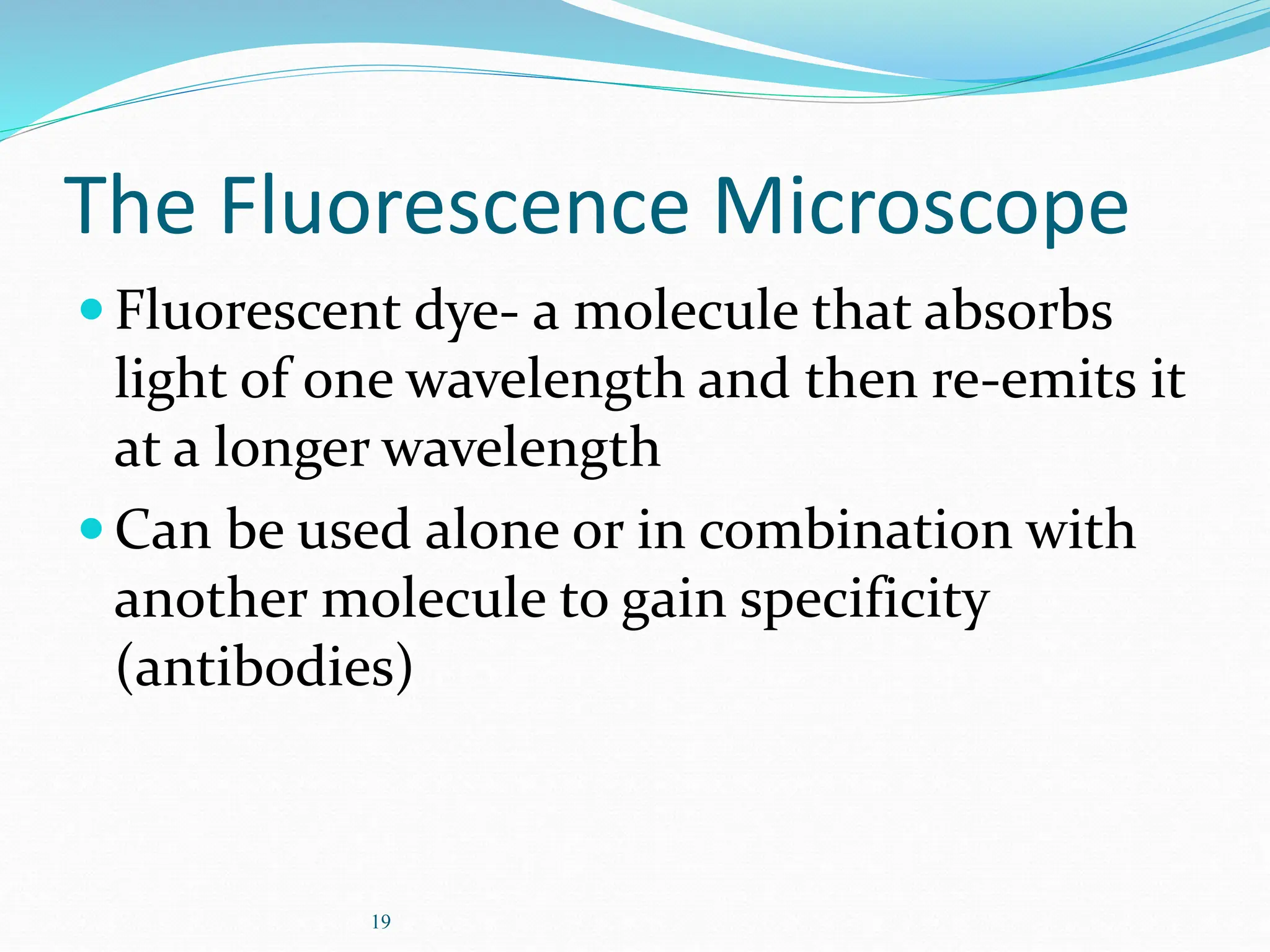 19
The Fluorescence Microscope
Fluorescent dye- a molecule that absorbs
light of one wavelength and then re-emits it
at a longer wavelength
Can be used alone or in combination with
another molecule to gain specificity
(antibodies)
 