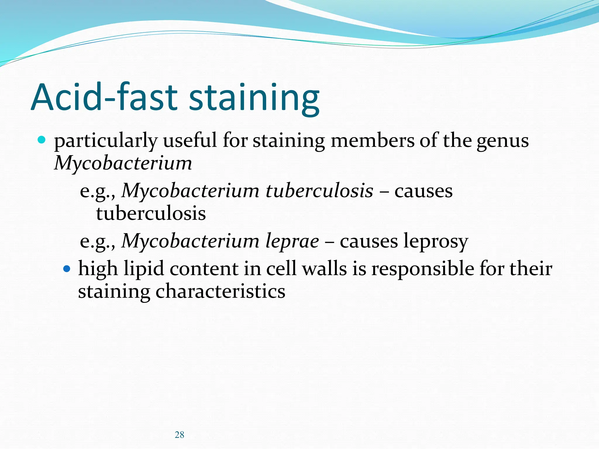 28
Acid-fast staining
 particularly useful for staining members of the genus
Mycobacterium
e.g., Mycobacterium tuberculosis – causes
tuberculosis
e.g., Mycobacterium leprae – causes leprosy
 high lipid content in cell walls is responsible for their
staining characteristics
 