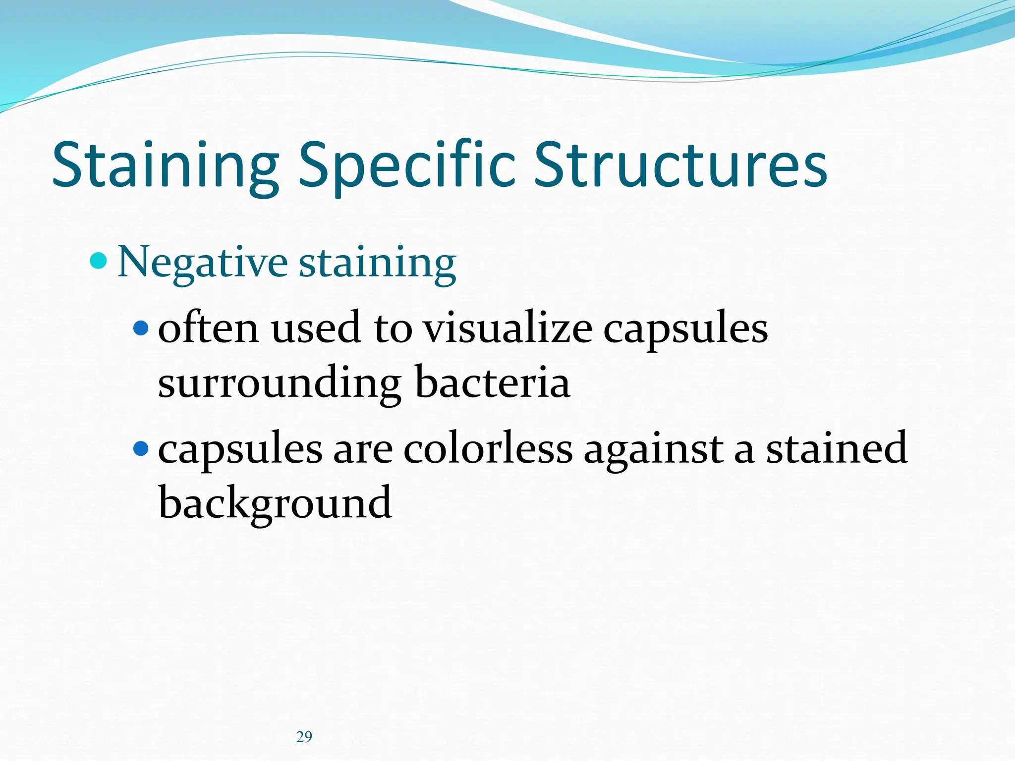 29
Staining Specific Structures
Negative staining
often used to visualize capsules
surrounding bacteria
capsules are colorless against a stained
background
 