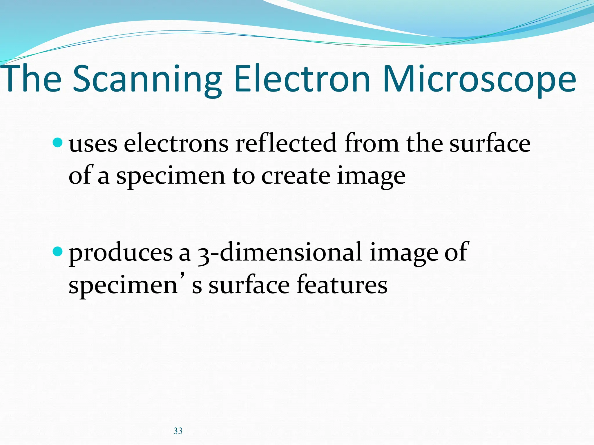 33
The Scanning Electron Microscope
uses electrons reflected from the surface
of a specimen to create image
produces a 3-dimensional image of
specimen’s surface features
 